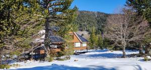 a house in the woods in the snow at Cuyul Lodge in Malalcahuello