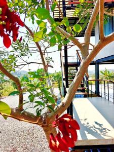 a tree with red flowers in front of a building at Phu Man Mhok Khao Yai in Ban Nong Takhain