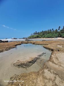 a pool of water on the shore of a beach at Ahungalla Ocean Villa in Ahungalla
