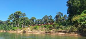 a house on the side of a river at Konglor cave Resort - River side Restaurant in Ban Konglo