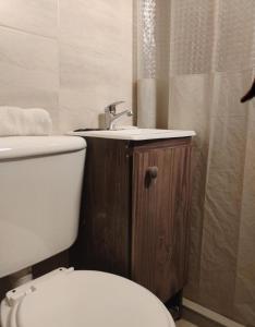 a bathroom with a toilet and a sink at Fran hotel boutique in Mendoza +5 photos