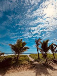 a row of palm trees on a sandy beach at Villa Monarca in Ayampe