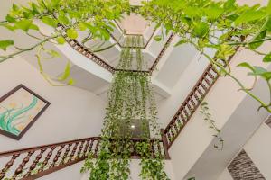 a plant hanging from the ceiling of a building at Hotel Dorado Plaza Centro Histórico in Cartagena de Indias