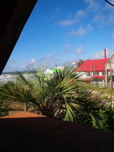 vistas a la playa y a una casa con palmeras en Tarot, en Aguas Dulces