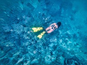 a person is swimming in the water with a snorkel at Cabañas Isla Bonita in Puerto Limón