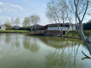 a body of water with trees and a building at MAX apartmán jazero in Trstice