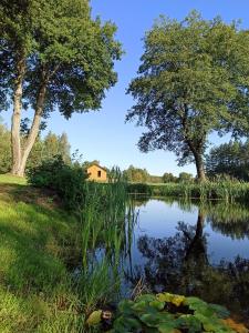 a pond with trees and a house in the background at Siedlisko Gruszeczki in Gruszki