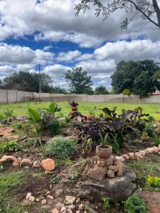a garden with plants and rocks in a field at Indolo Home in Bulawayo +2 photos