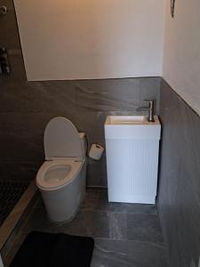 a bathroom with a toilet and a sink at Small Cozy Rest #8 Efficiency in South Bimini +10 photos