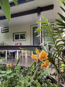 eine Veranda mit Pflanzen und Blumen in der Unterkunft Fare anuhe in Bora Bora