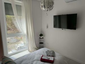 a bedroom with a bed and a television on a wall at Homestay in Dąbrowa Górnicza
