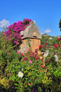 Ein Garten an der Unterkunft Baba Veli Pension
