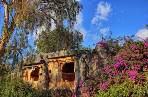 Ein Garten an der Unterkunft Baba Veli Pension