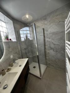a bathroom with a shower and a sink at Centre-ville de Saint-Brieuc in Saint-Brieuc +10 photos