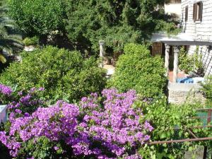Zahrada ubytování Villa Fede