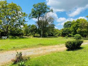 a dirt road in a field with trees at Forest Edge Yala Resort in Gotamegama +6 photos
