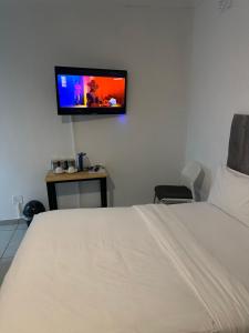 a bedroom with a bed and a flat screen tv on the wall at Bell rose oaks guest house in Blomtuin