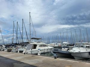 a bunch of boats docked in a harbor at Studio Hyeres sur le port in Hyères