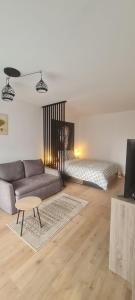 a living room with a couch and a bed at Studio proche Cathédrale in Autun