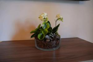 a vase with flowers in it sitting on a table at Al Cortiletto Apartments in Gardone Riviera +26 photos