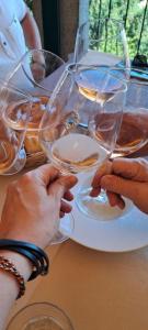 a group of people holding wine glasses on a table at Casa Bellotta in Suno