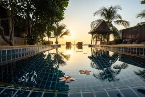 a swimming pool with turtles in the water at Amazing Beachfront Villa in Ko Lanta +25 photos