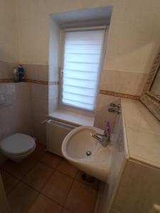 a bathroom with a sink and a toilet and a window at Familienfreundliche Fewo mit Garten in Schwarz +19 photos