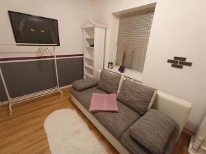 a living room with a couch and a flat screen tv at Familienfreundliche Fewo mit Garten in Schwarz