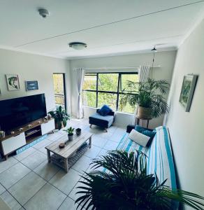 a living room with potted plants and a television at The Zhen in Strand