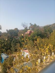 a village on the side of a hill with trees at Fast food in Lukla