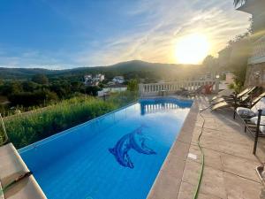 a swimming pool with a dolphin painted on it at Chambre avec piscine, jacuzzi, vue mer et montagne, plage à pied in Roquebrune-sur-Argens