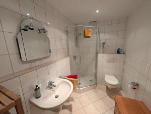 a bathroom with a sink and a shower and a toilet at Am Weinberg in Bernkastel-Kues