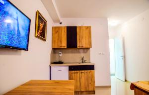 a kitchen with wooden cabinets and a sink at Apel Luxury in Niš