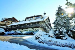 Hotel Villa Wilma v zimě