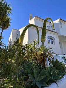 a house with a bunch of plants in front of it at Patio Suite in Olhão
