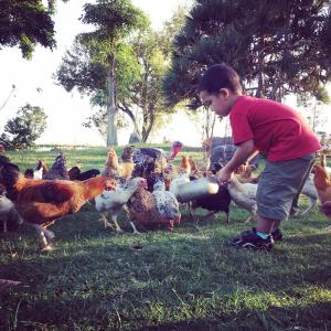 Bambini che soggiornano presso 菜爺爺親子蔬宿Vegepapa B&B