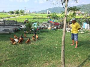 Ospiti di 菜爺爺親子蔬宿Vegepapa B&B