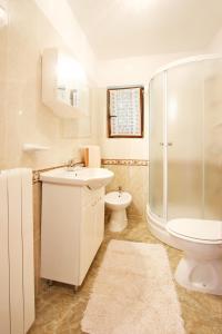 ein Bad mit einem Waschbecken, einem WC und einer Dusche in der Unterkunft Apartment Nerina in Poreč