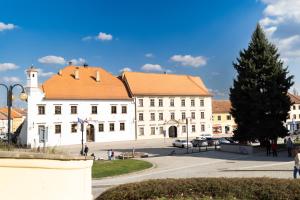 a large white building with a red roof at Maison Kounic Palace Suites in Slavkov u Brna