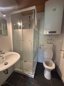 a bathroom with a shower and a toilet and a sink at Gasthof Paradiesgartl in Kleinpöchlarn +57 photos