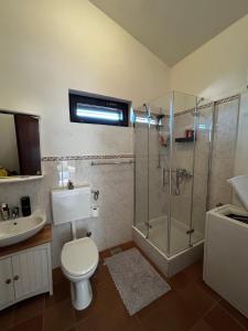 a bathroom with a shower and a toilet and a sink at Kuca Mir Seaside Apartments - 50m from Beach in Ugljan +27 photos