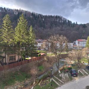 a view of a city with trees and a mountain at Alexander Residence in Slănic-Moldova