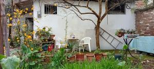 a garden with white chairs and a table and a tree at Enki's Garden in Tirana