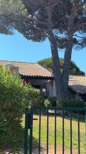 a fence in front of a house with a tree at Mini villa proche mer in Zonza