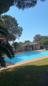 a large swimming pool in front of a building at Mini villa proche mer in Zonza