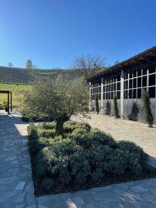 a tree in a garden in front of a building at Sogno La Vigna - Adults Only in Montegrosso dʼAsti