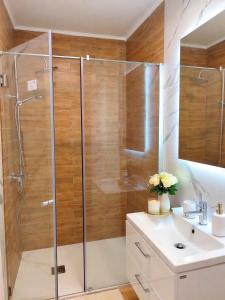a bathroom with a shower and a sink at Emerald Apartment On Arena Oradea in Oradea +3 photos