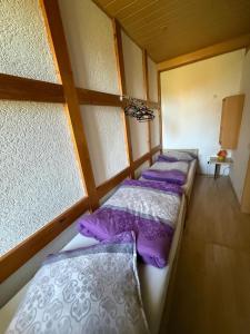 a row of beds in a room with windows at Fewo zum Klosterhof EG 1 in Schwanebeck