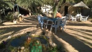 a table and chairs in a yard with a small pond at Maison Proche De Désert Douz in Douz