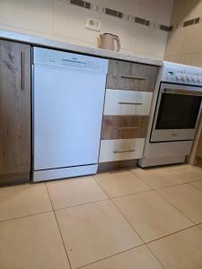 a kitchen with an oven and a dishwasher at Aphrodite Apartment in Podgorica